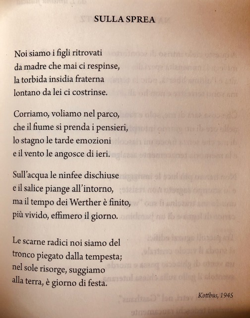 Giuliano Bimbi - poeta e scrittore - La signora del bello