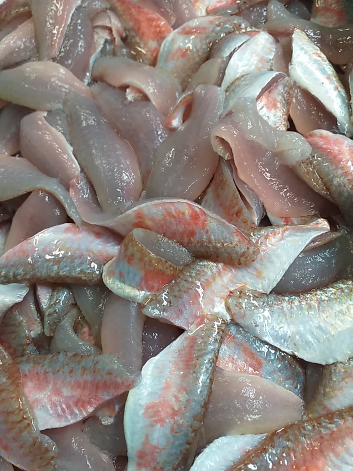 Un’osteria di mare Slow Food - La signora del bello