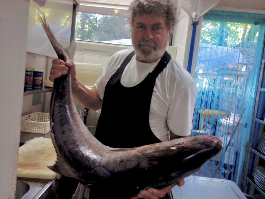 Un’osteria di mare Slow Food - La signora del bello