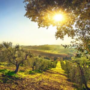 Un progetto green in Toscana