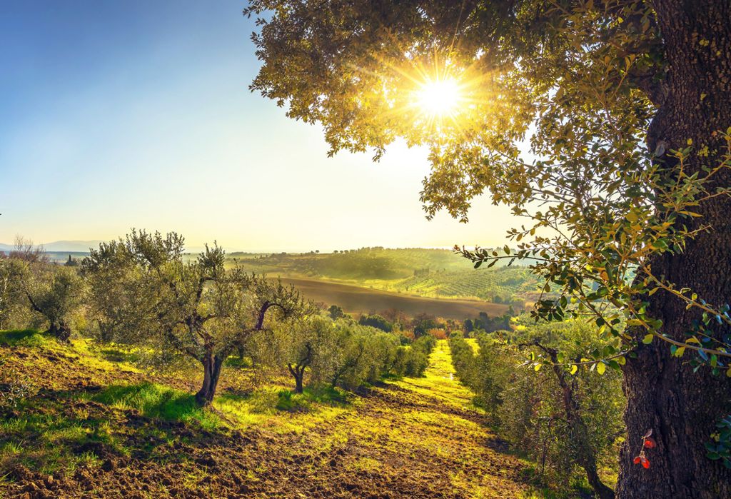 Un progetto green in Toscana