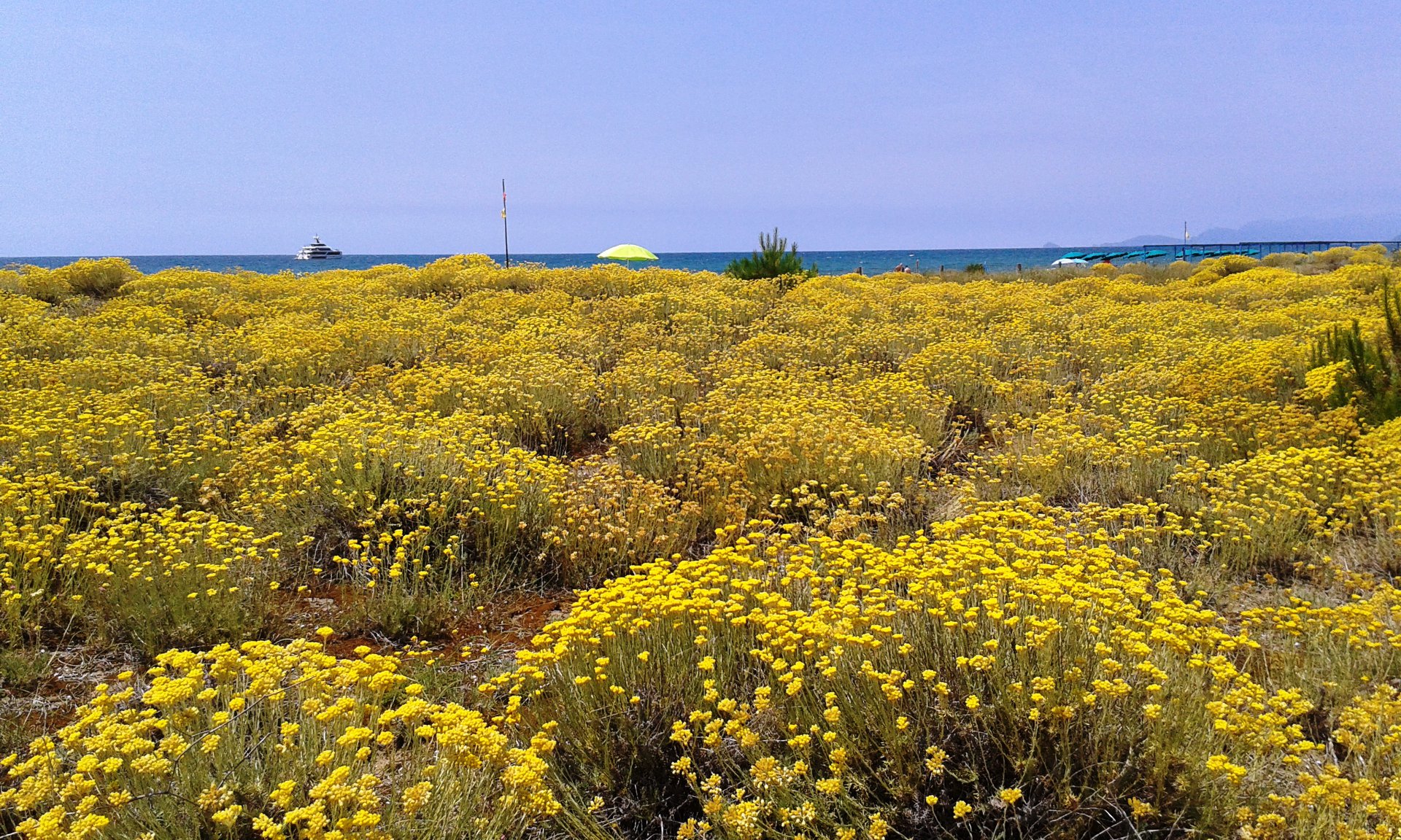 L’Oasi WWF Dune di Forte dei Marmi