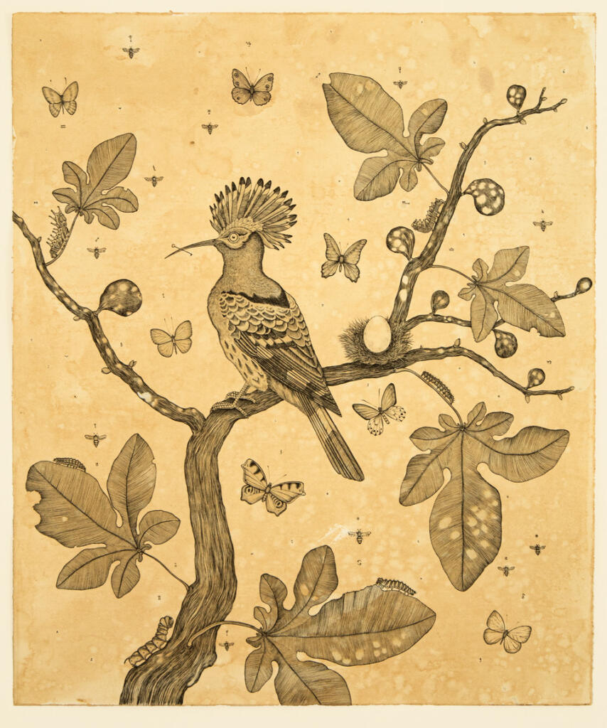 Le nuove mostre nelle gallerie di Pietrasanta - La signora del bello